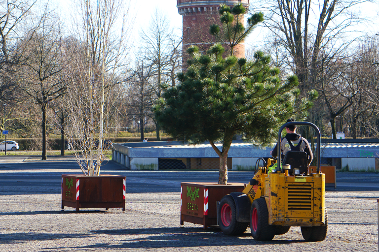 verplaatsbare bomen in breda